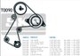 Imagen de KIT DE DISTRIBUCION RENAULT EXPRESS/KANGOO/CLIO 1.9